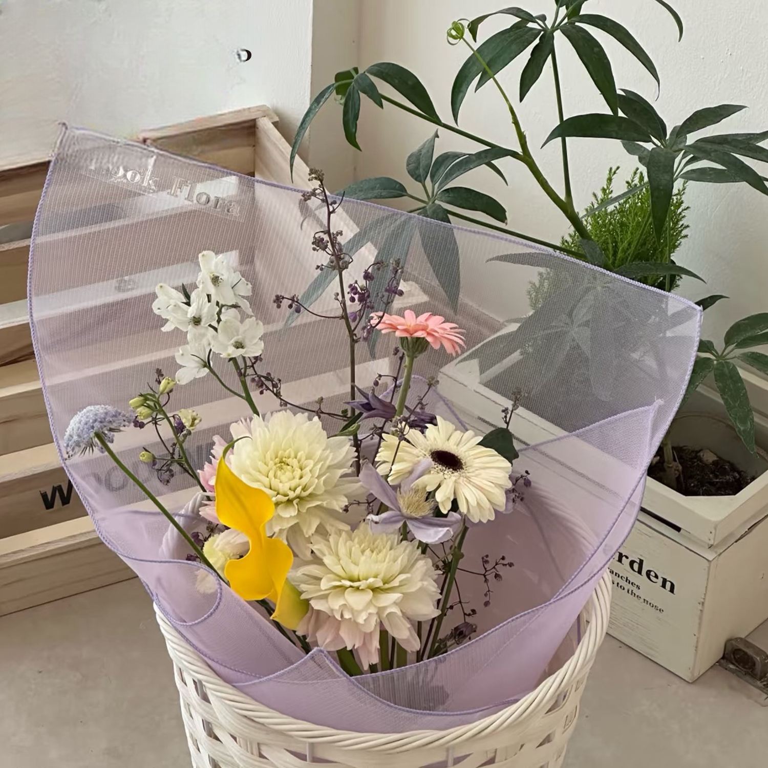 malla JBFS – 49*49cm - Image 7