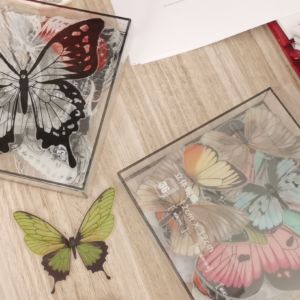 Accessories PVCHD - 00 - Image 7