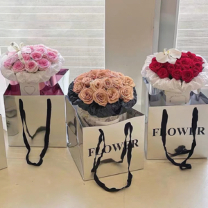 sac à poignée JMST-002(2pcs/bag） – 26cm*26cm*24cm