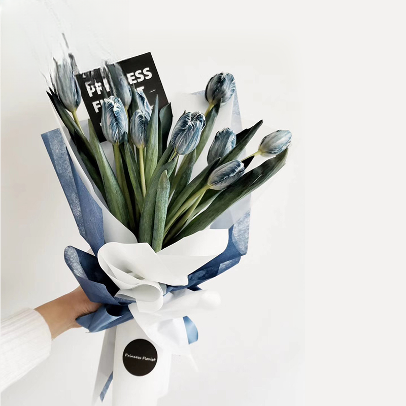 carta regalo MZXL – 60cm*60cm - Image 6
