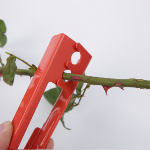 Stab Cut DCQ – 14*4*2.5cm