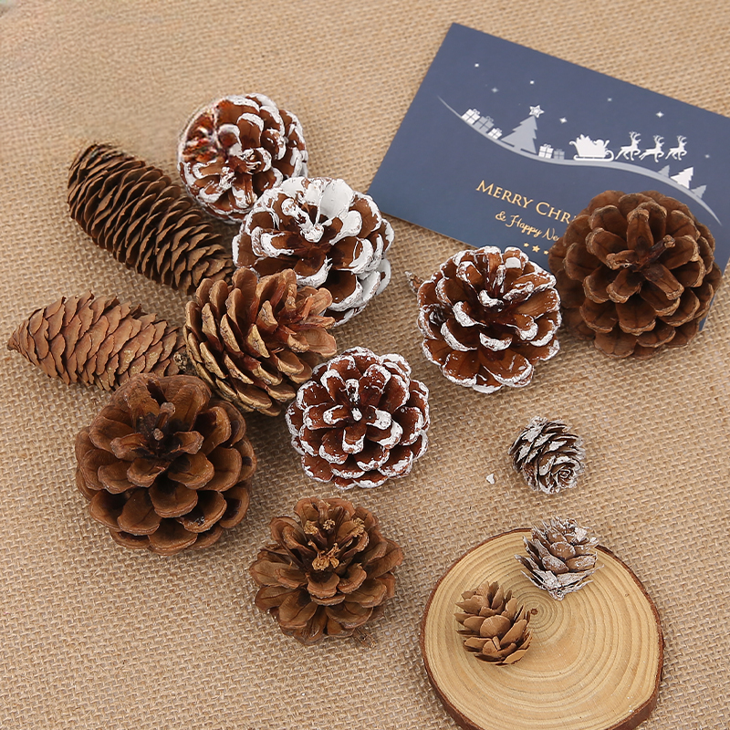 Christmas Pine cones - 00 - Image 4