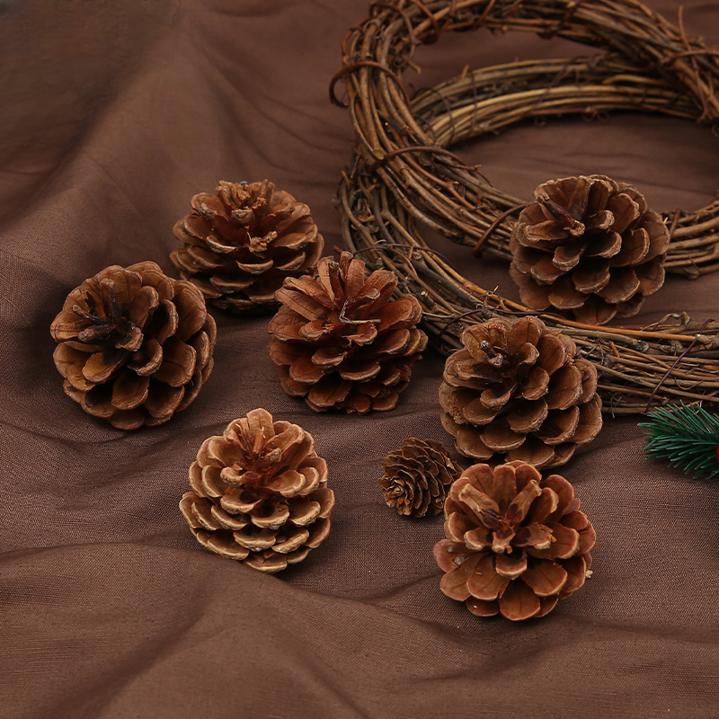 Christmas Pine cones - 00 - Image 8