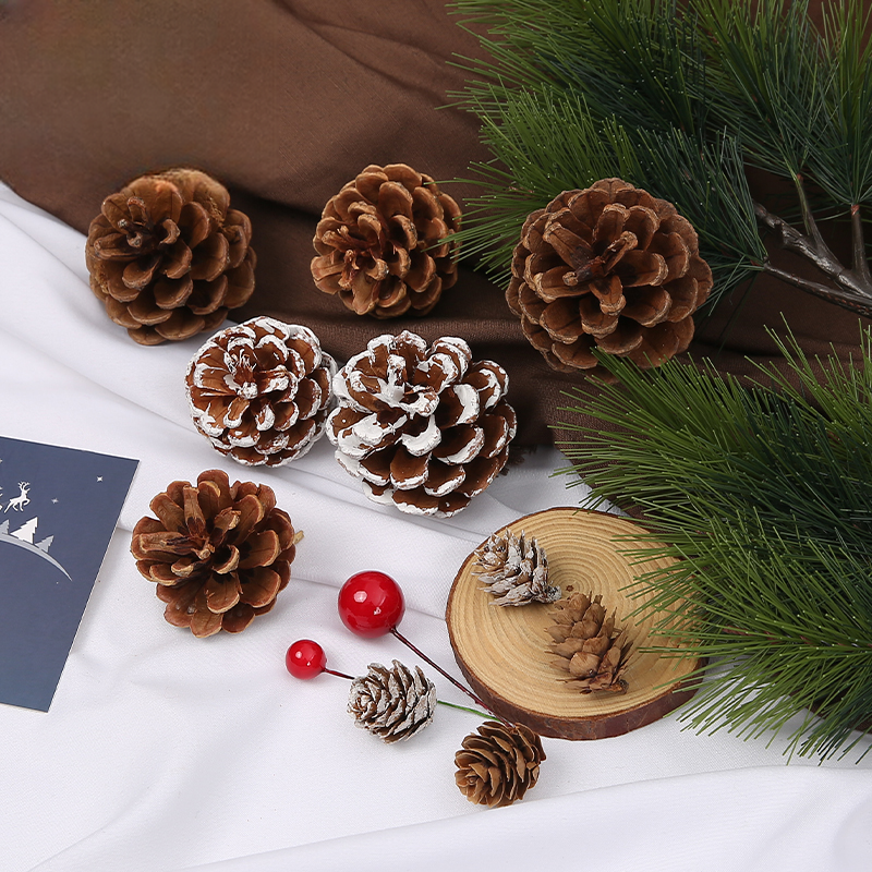 Christmas Pine cones - 00 - Image 9