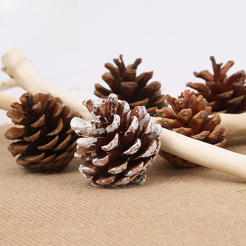 Christmas Pine cones - 00 - Image 10
