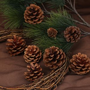 Christmas Pine cones - 00