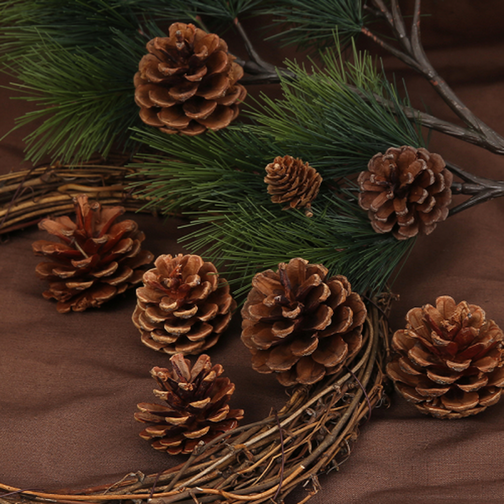Christmas Pine cones - 00