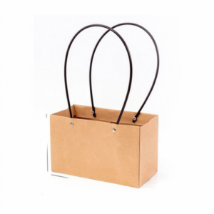 sac à poignée NPD C9（10pcs/bag） – 22*14*11CM