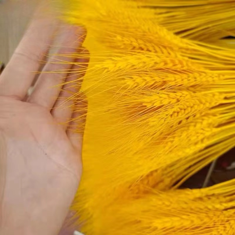 Zubehör künstlich wheat DMGH – 55cm - Image 3