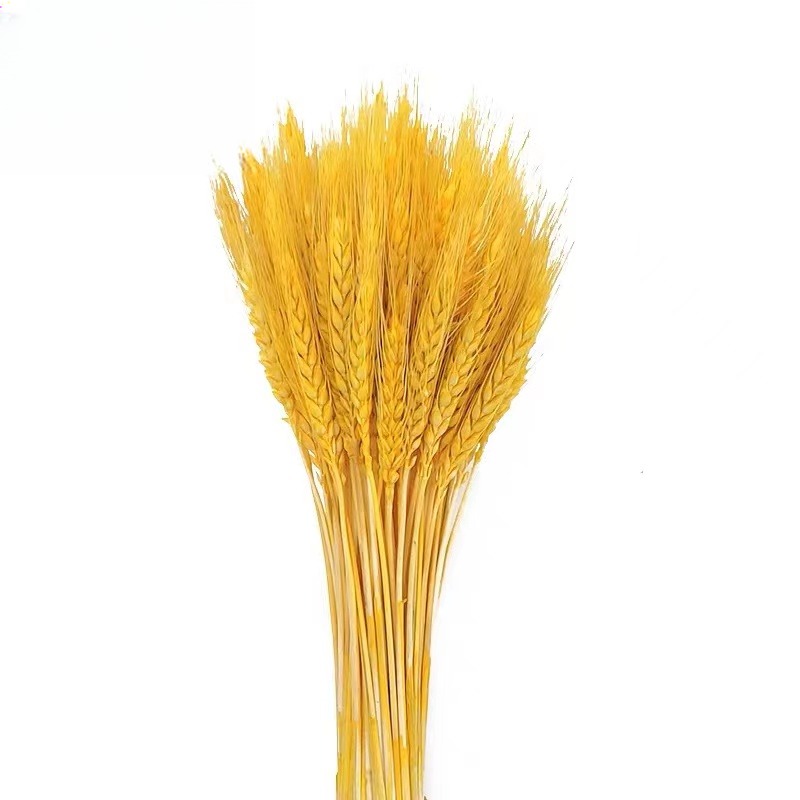 Zubehör künstlich wheat DMGH – 55cm - Image 4