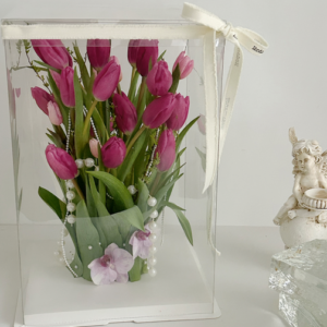 boîte DGH – 26*26*25cm