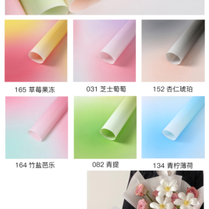Geschenkpapier TGLL – 58cm*58cm - Image 11