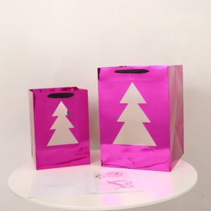 Tragetasche SDSKCS(2pc/bag) – 32*32*45cm