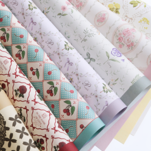 Geschenkpapier CJWWHB – 53*42CM