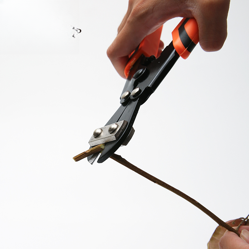 Accessories Flower Pruner Scissors PTGHJ - 22*6CM - Image 4