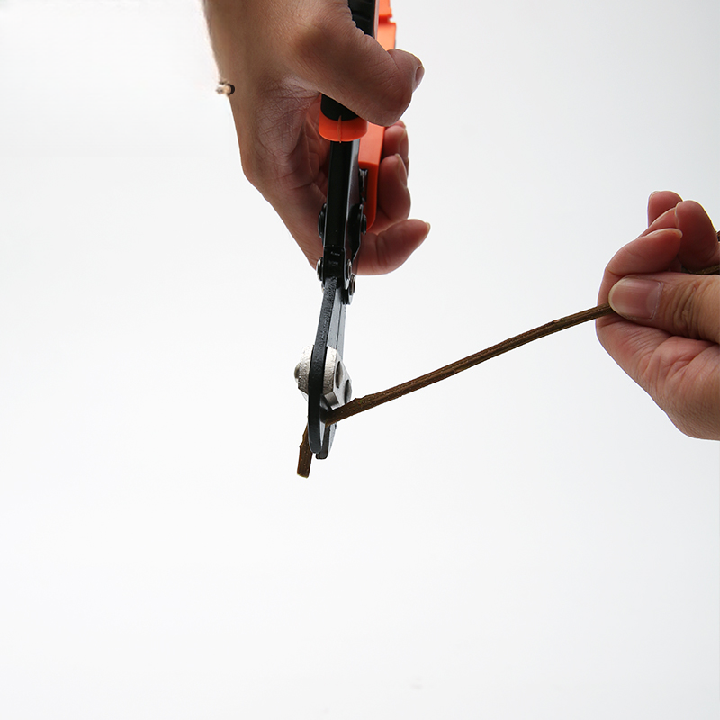 Accessories Flower Pruner Scissors PTGHJ - 22*6CM - Image 5