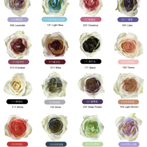 Spray-painted flowers HYPQ 24 bottle/CTN - 450ML - Image 10