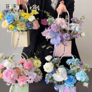 Hand bag LGYWMKD-(ZP7) (10pcs/bag) - 15*13*12.5cm