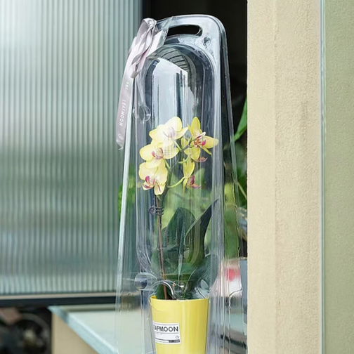 PET boîte XSH-001 – l:16.1*55CM