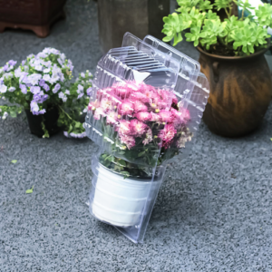 PVC boîte XSH-001 – 8.5*13.5cm