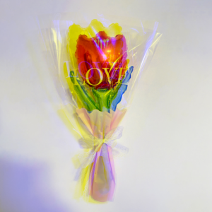 Ballon QQ-002(50pcs/bag)-geruchsneutral – 43*19cm