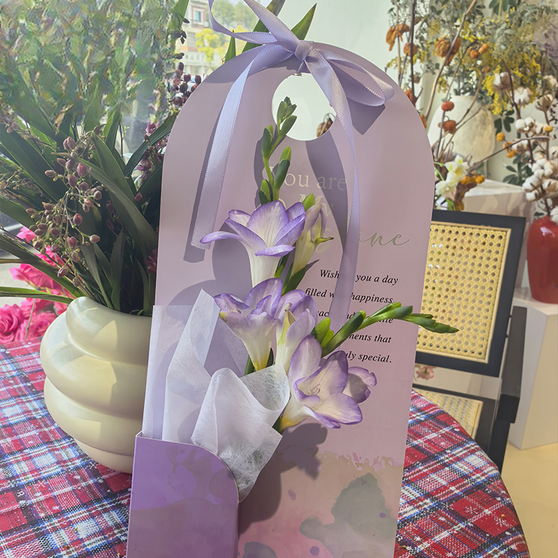 Bag YHZBD (10pcs/Bag) - 15*2*32cm - Image 5