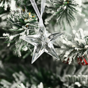 Christmas Accessories SDYKLGS - 000
