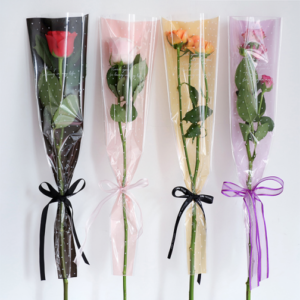 Verpackung Paprt MTXDZD – 12.8cm*4cm*45cm