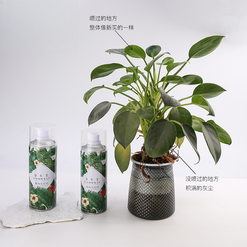 Pflanzenglanz – 450ML - Image 3