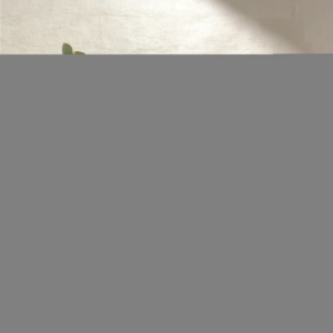 Box RBBSMCTYT – 17.7×17.7x16cm